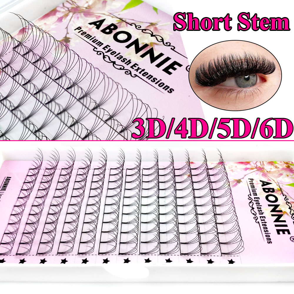 アボニー6Dナローファンプレメイドファン ロシアンボリューム - Eyelash Extension Russian のレビューと価格