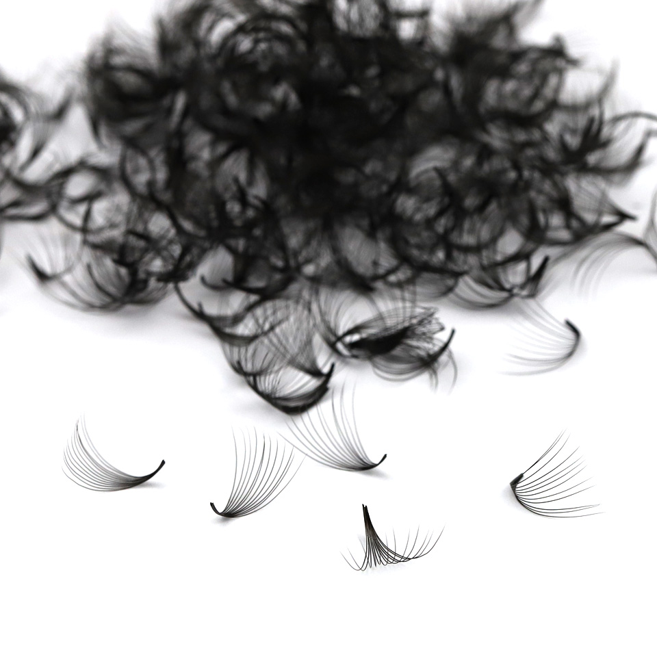 AGUUD 30D 40D クラスタールーズファン ラッシュ - Eyelash Extension Russian のレビューと価格